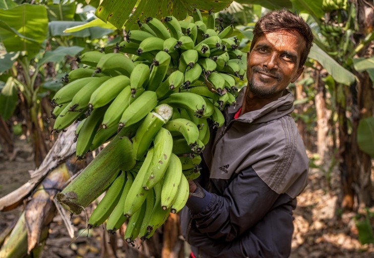 Bananas are changing lives in Nepal. Find out how…