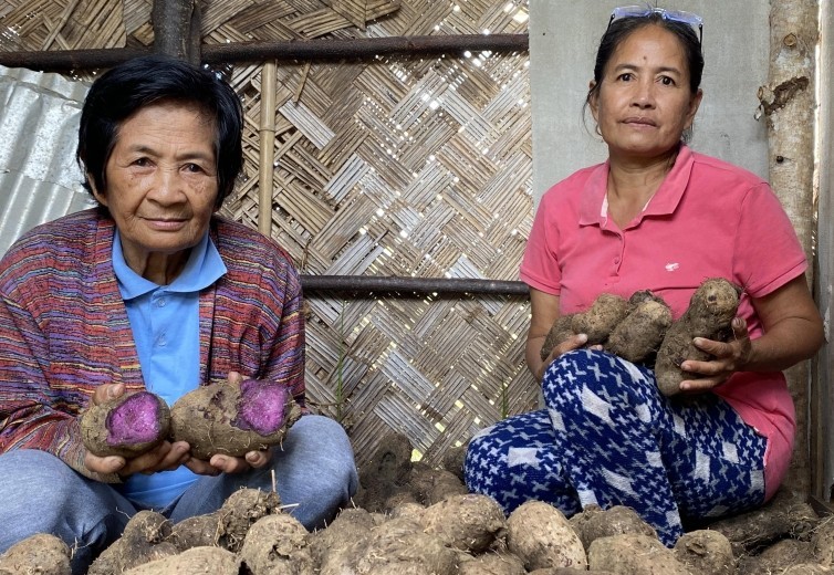 Your love — and a purple yam — is cultivating a brighter future 