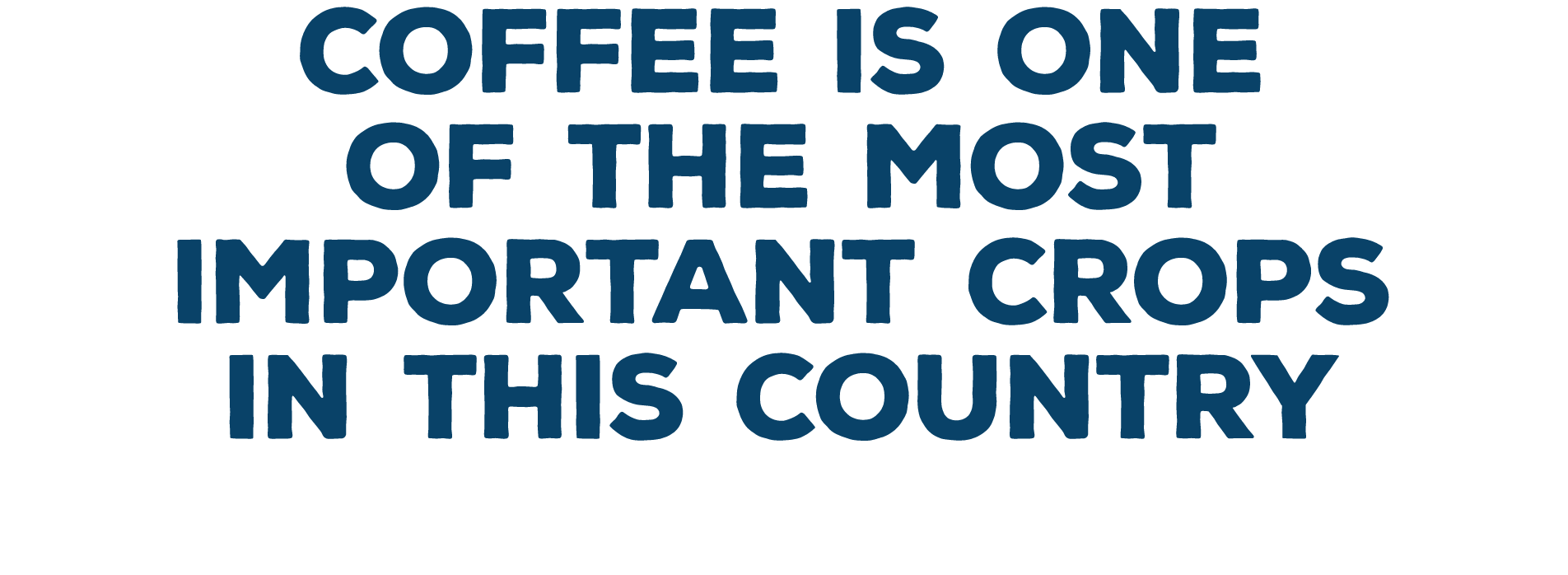 Coffee is one of the most important crops in this country