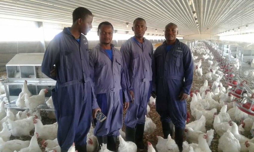 Teachers and students participating in INVEST's internship at Silverlands Poultry Training Centre in Morogoro