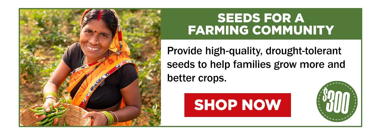 Provide high-quality, drought-tolerant seeds to help families grow more and better crops. 