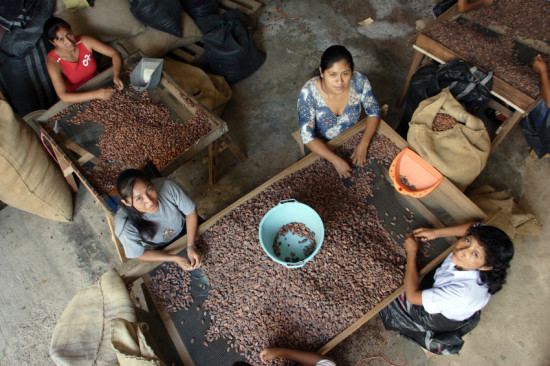 Women in Peru sort cocoa beans. Photo by Olaf Hammelburg, for LWR