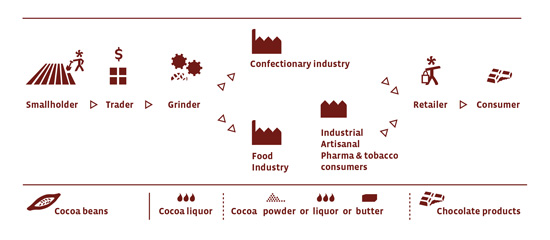 This infographic shows how cocoa gets produced, from smallholder farmers to consumers.