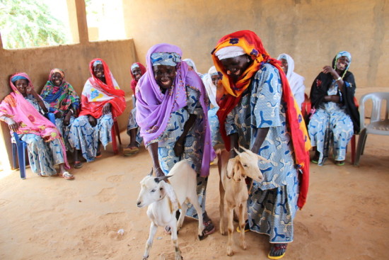 Madialia Illa, 60 (left) and Rakia Habibou, 50 (right) proudly display their goats. LWR is working with their women's group, called Union Nazari, to grow herds, improve crops and become more resilient.