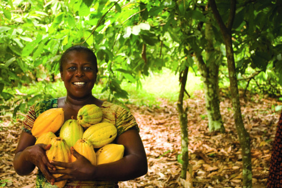 Juliet Brago (pictured above) is 45 years old and has been a cocoa farmer for 14 years. She joined Kuapa KoKoo in 2002 and has a cocoa farm of 10 acres. She is an executive member of her village society of Awaham in the Ashanti region of Ghana. She is also the vice-chairwoman of her society's women's group which trains women for alternative income generation projects that provide families with money after the cocoa season ends.