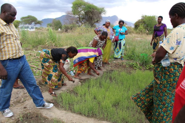 This women's group in Kenya observes onion crops on a demonstration plot.