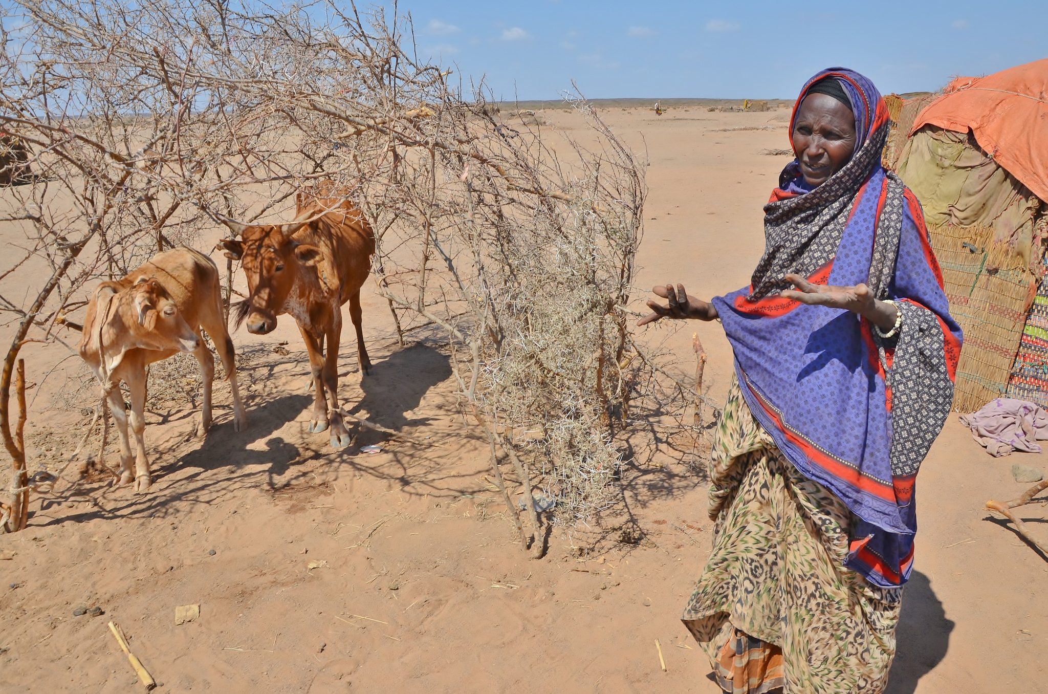 The Global Impact of El Niño: Africa | Lutheran World Relief