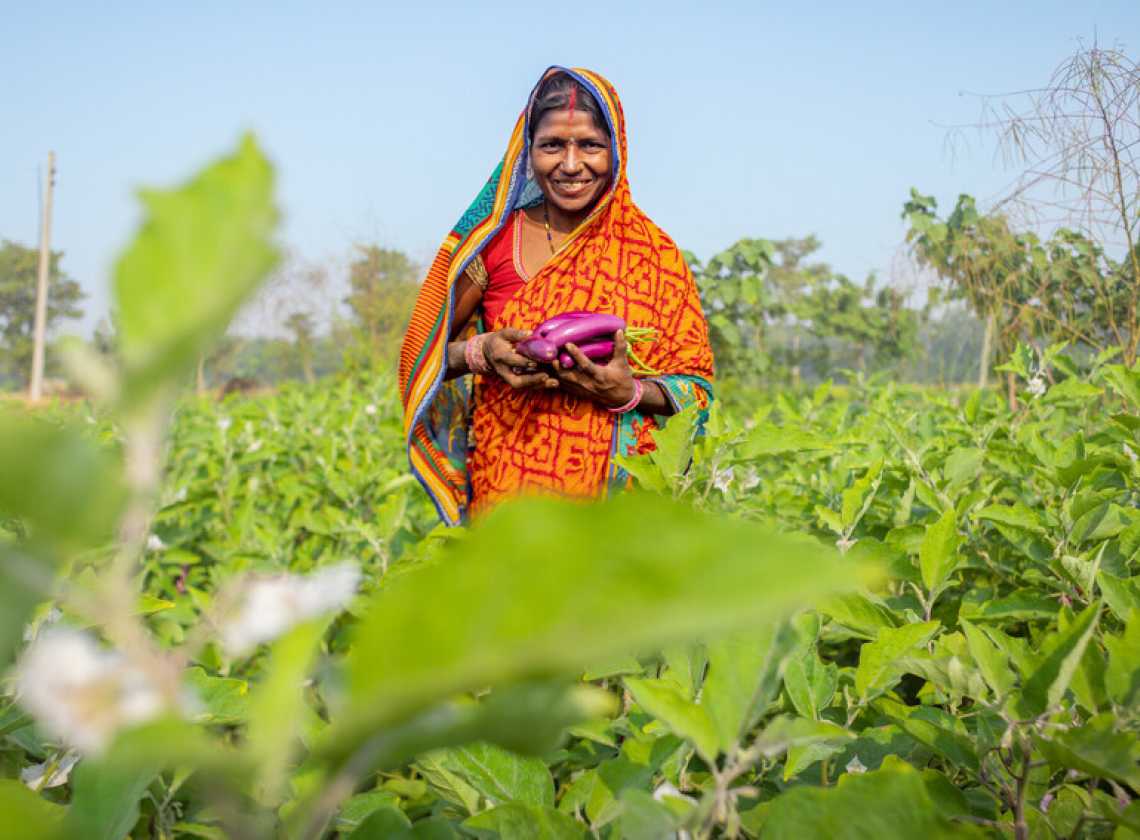 Climate-smart agriculture and disaster risk reduction in Nepal