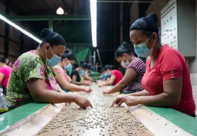 Private sector engagement: Central America and the “business” of hope 