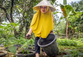 Your impact in Indonesia: Turning pollution into fuel