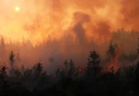 WILDFIRE DISASTER: Rush aid to neighbors in Spokane