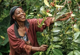5 Things to Know About Your Coffee and the Neighbors Who Grow It   