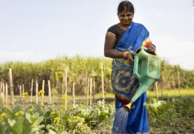 Strengthening resilient communities: Climate-smart agriculture and disaster risk reduction in Nepal