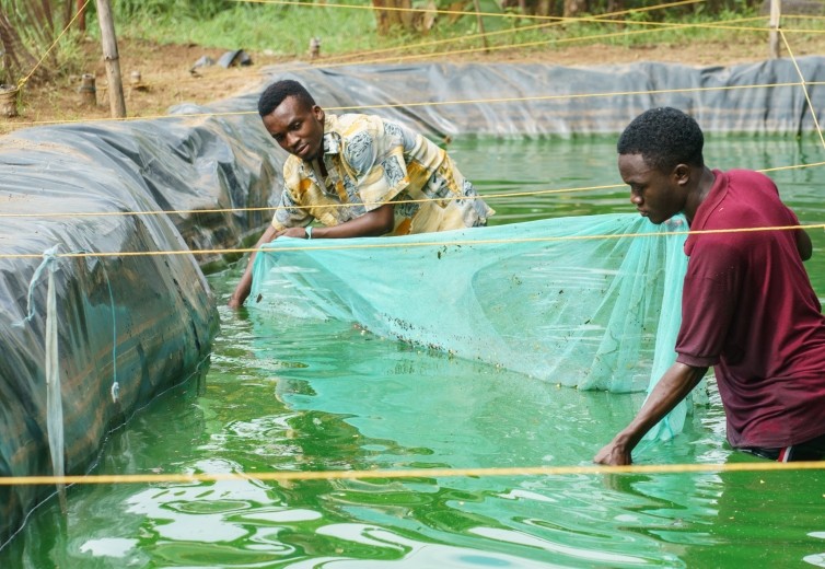 Investing in agriculture and youth entrepreneurship in Tanzania