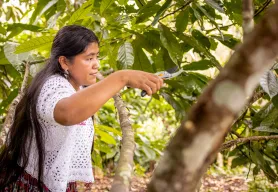 Abordando las causas profundas de la migración en Guatemala