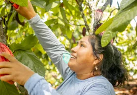 Lutheran World Relief's commitment to the cocoa sector