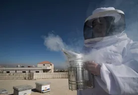 Refugee finds hope — and a taste of home — in her new beehives 