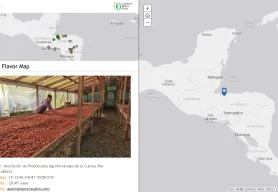 Lutheran World Relief launches the LWR Regional Cocoa Flavor Map for El Salvador, Honduras and Nicaragua