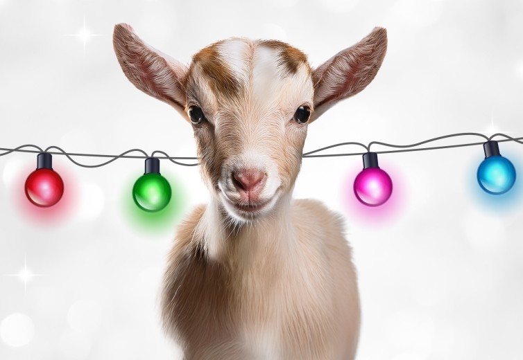 Give the G.O.A.T. (Greatest Gift of All Time) this Christmas