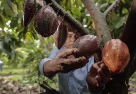 Op-ed: Some from El Salvador choose to stay put and they need our help