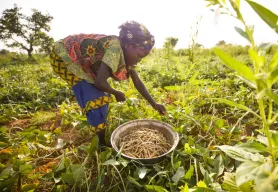 The EU & LWR launch initiative in Niger to increase farmers’ resilience to climate change 