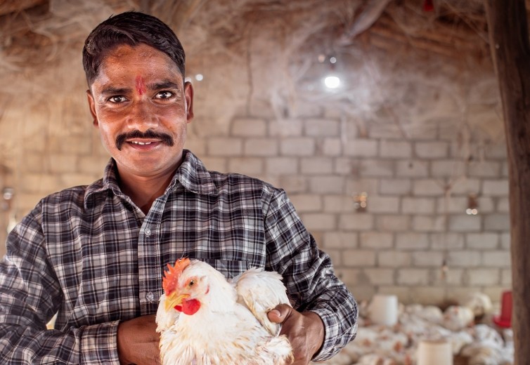 Livestock as a lifeline in disaster  