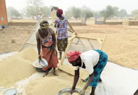 LWR and USDA launch 5-year, $24 million sesame initiative in Burkina Faso