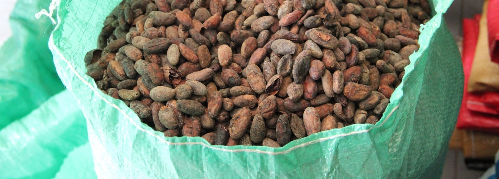 Bag of cacao