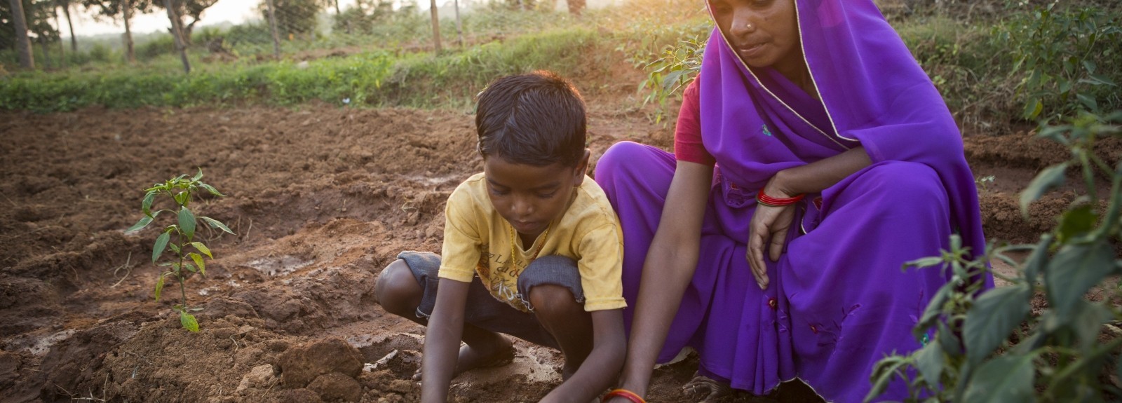 How To Give Better This Christmas With Lwr Gifts Lutheran World Relief