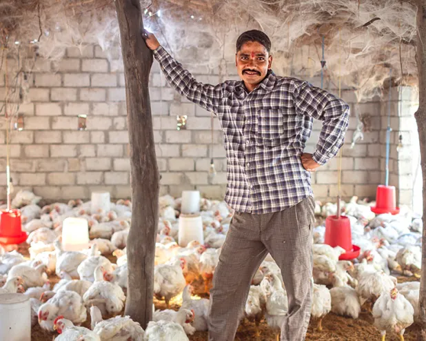Livestock as a lifeline in disaster  