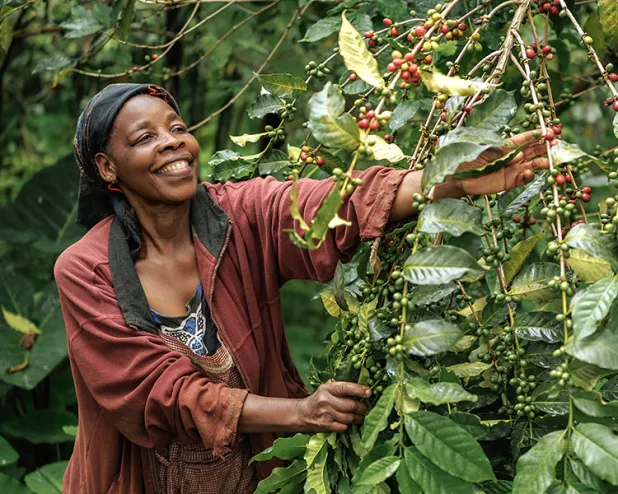 5 Things to Know About Your Coffee and the Neighbors Who Grow It   