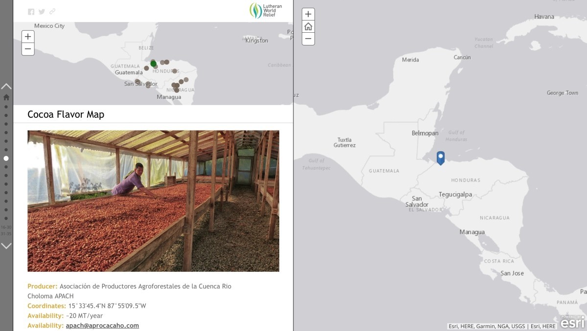 Lutheran World Relief launches the LWR Regional Cocoa Flavor Map for El Salvador, Honduras and Nicaragua