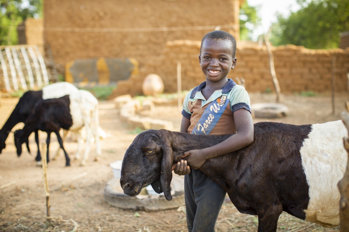Assouman Ayouba (9) hugs one of his family’s sheep that was bred under the 12/12 Alliance’s sheep-fattening initiative in Tahoua Region, Niger Alliance 12/12 Project - Niger, West Africa. Photo by Jake Lyell for Lutheran World Relief