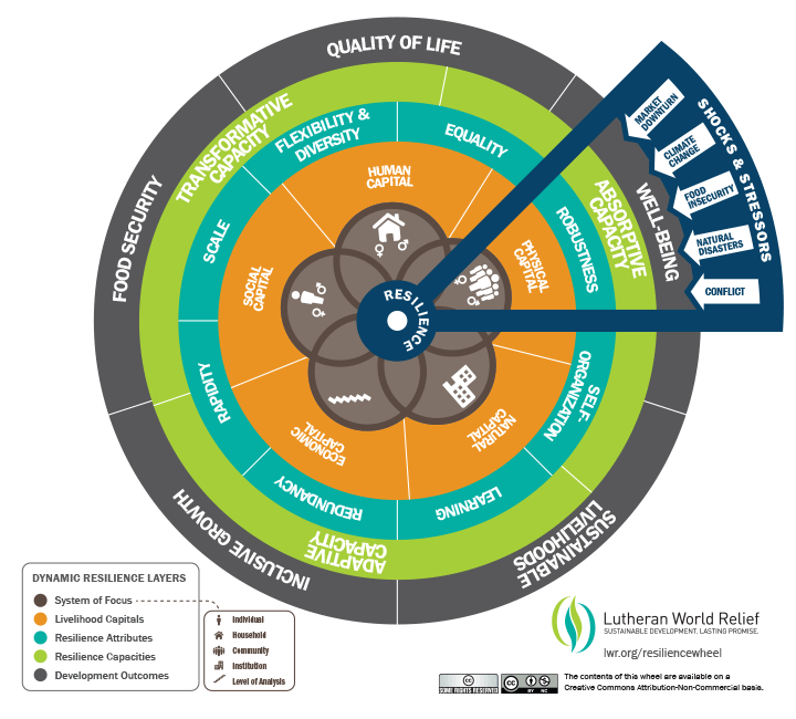 Dynamic Resilience Wheel