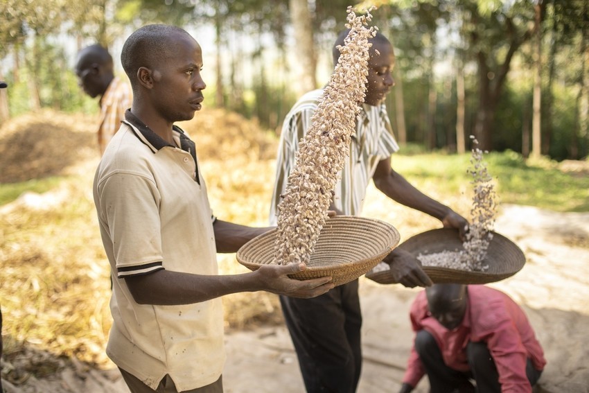 Two young men stand outside in from of a forest holding baskets with beans they are winnowing