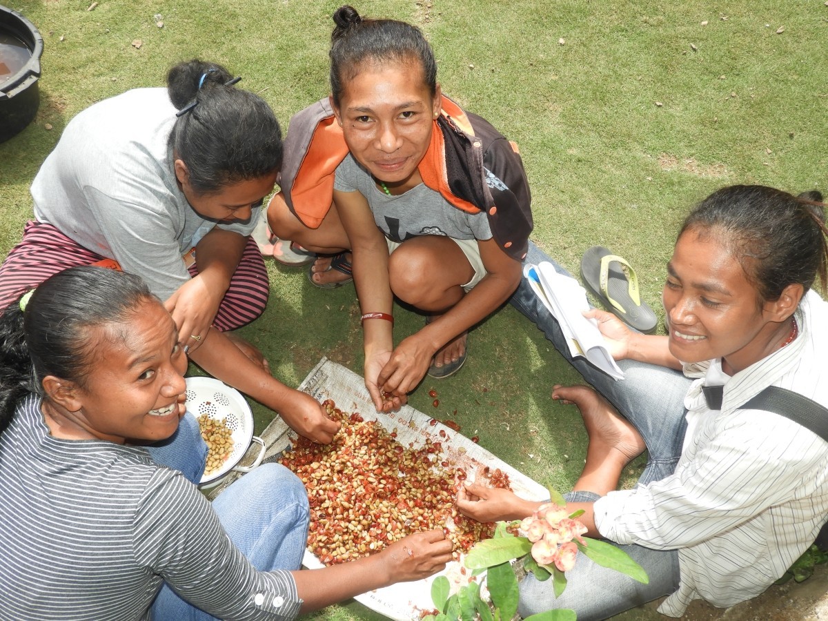Four young women sit in a circle on grass around a pile of coffee beans. 