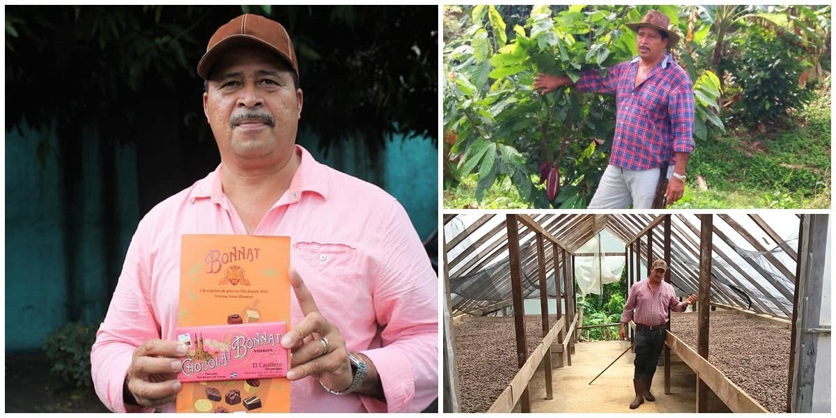 Collage of three images of Alfonso Tapia holding chocolate made with cocoa he produced, standing in a cocoa plantation and working in the greenhouse where cocoa is drying