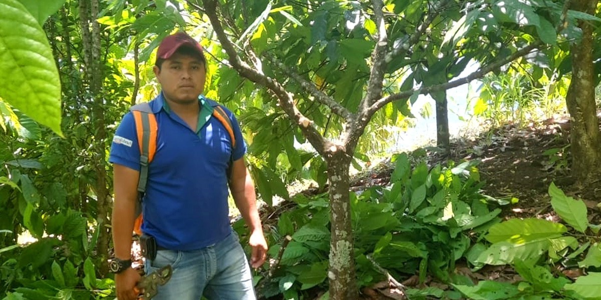Gerber Manuel Caal, a cocoa producer stands in his cocoa plot