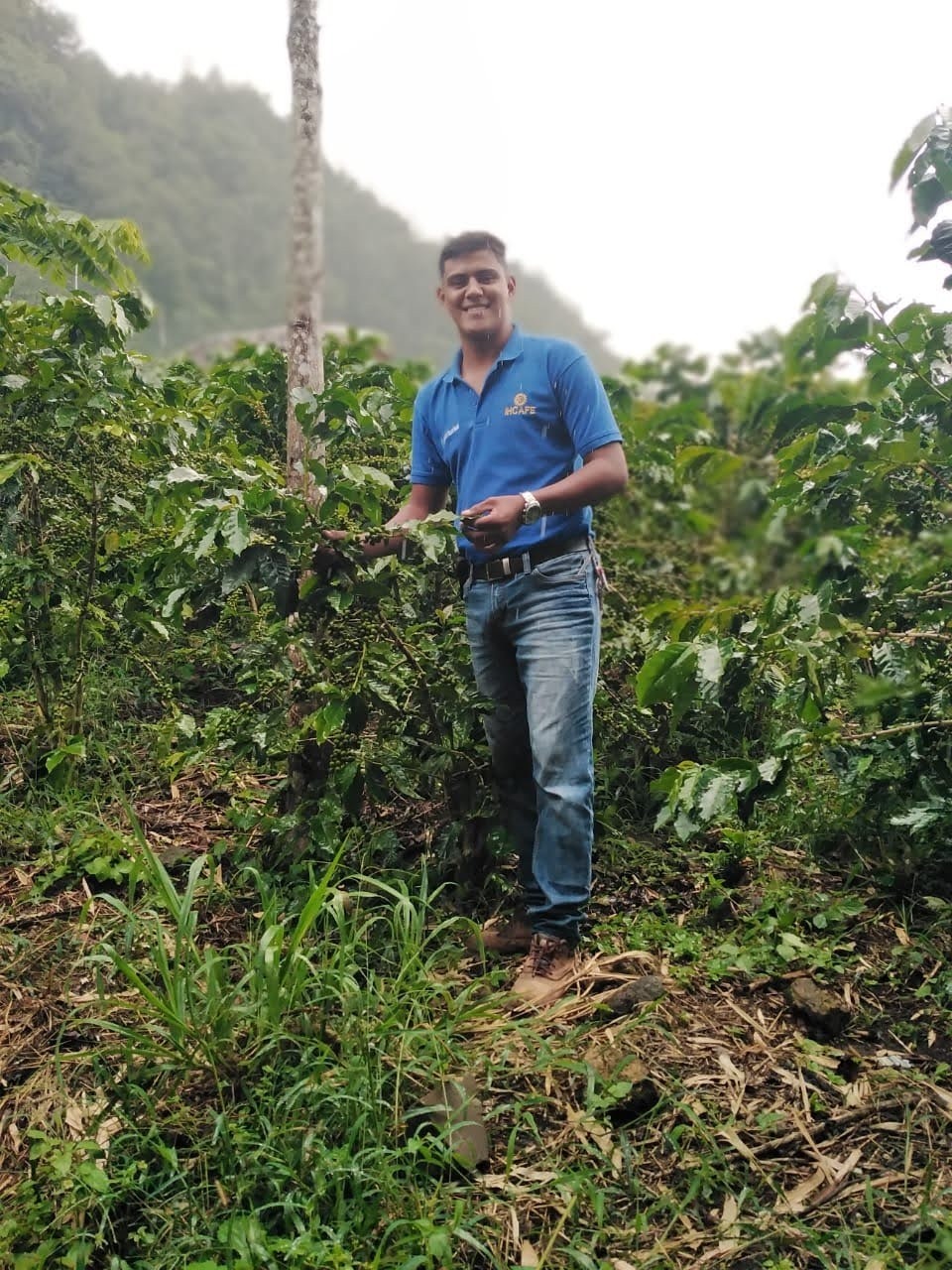 Man in blue polo stands in a coffee farm in front of foggy hillside