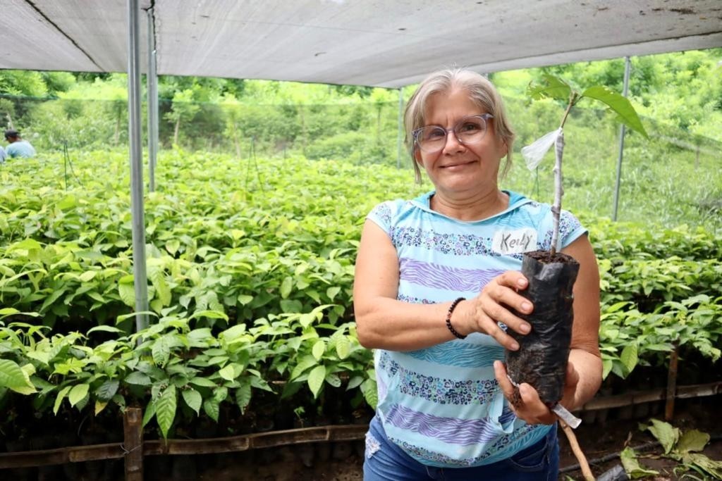 Through MOCCA, cocoa produces strengthen their cocoa production and community resilience