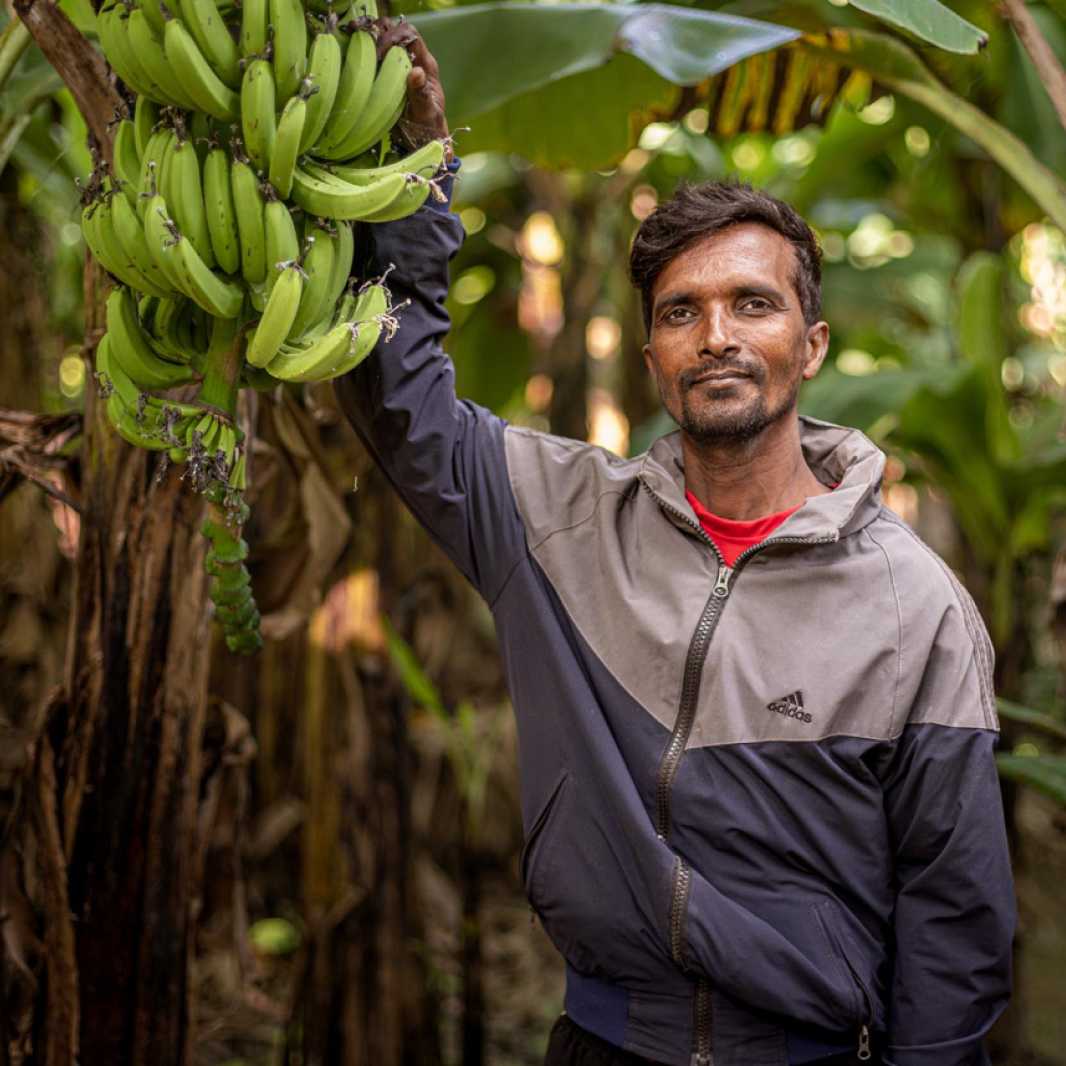 Jayantri with his bananas today