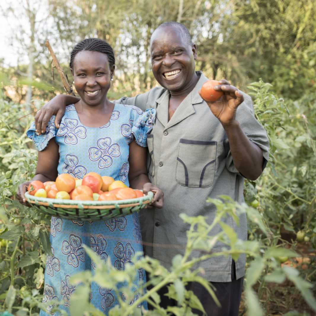 Agnes Nduku (46) and her husband Alphonce Nzuki (53) hold freshly harvested tomatoes on their family's small farm. (Photo by Jake Lyell, for Lutheran World Relief)