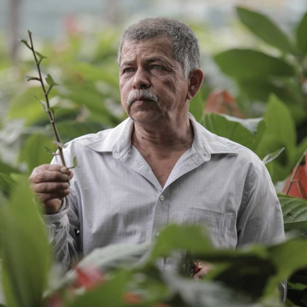 Sebastian Cedillos, 59, is the manager of La Casona Clonal Garden.