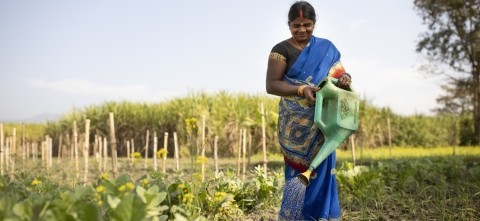 Strengthening resilient communities: Climate-smart agriculture and ...