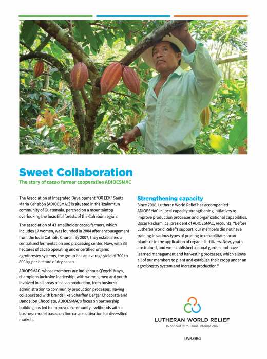 Sweet Collaboration: The story of Guatemalan cacao farmer cooperative ADIOESMAC 