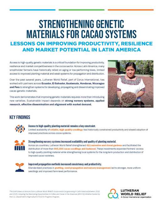 Strengthening Genetic Materials for Cacao Systems: Lessons on Improving Productivity, Resilience and Market Potential in Latin America