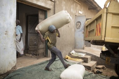 mtn_harvest_man_sack.jpg Thumbnail