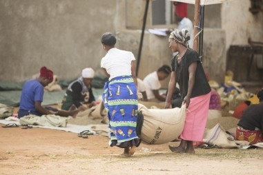 mtn_harvest_women_carrying_sack.jpg Thumbnail