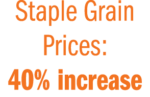 Staple Grain Prices: 40% increase 