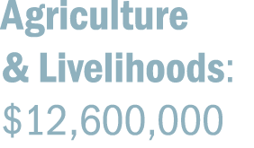 Agriculture & Livelihoods: $12,600,000